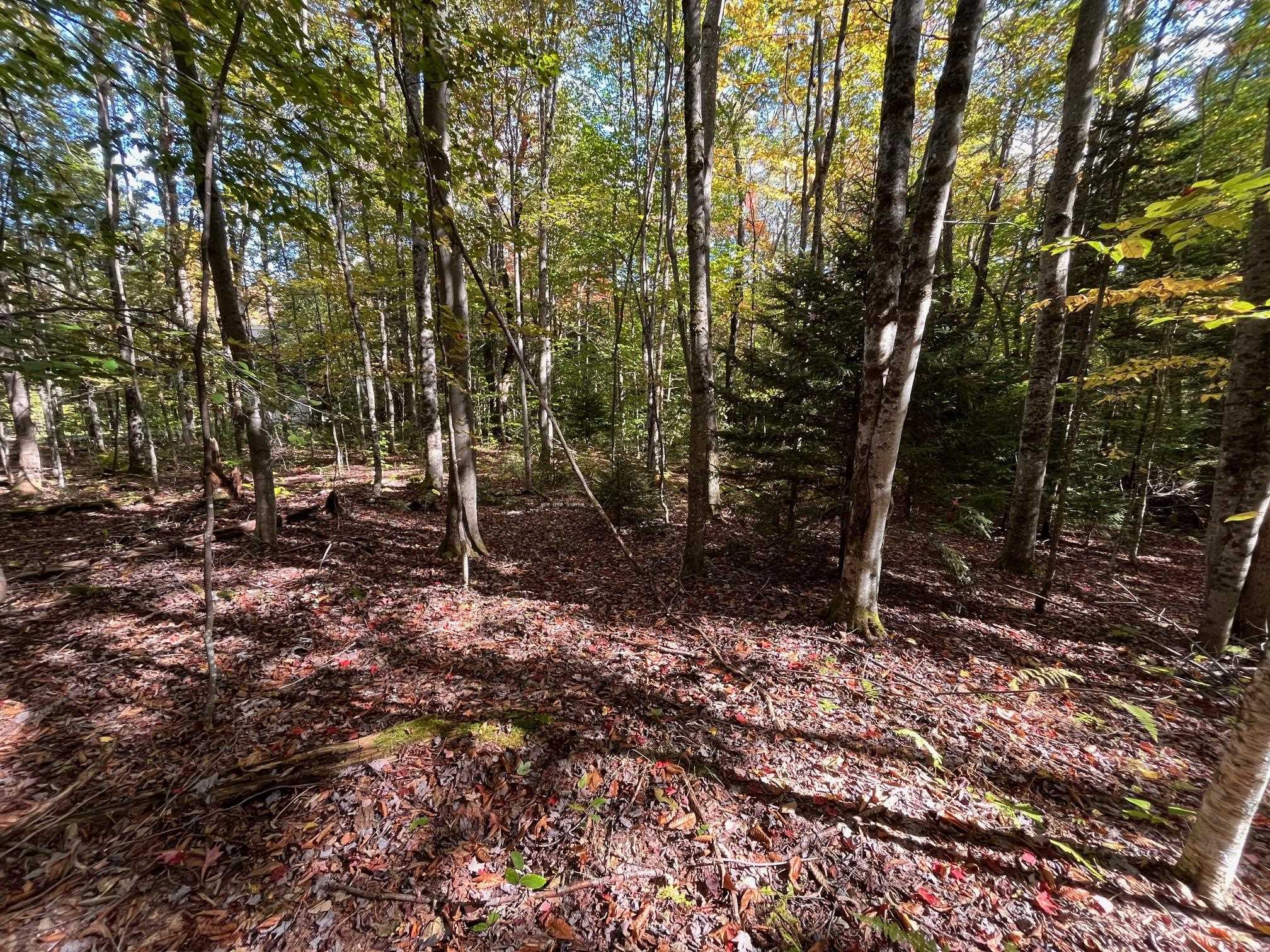 0 German Flats Road, Unit 3 Waitsfield, VT 05673 - Photo 5 of 15 Gallery Image 5
