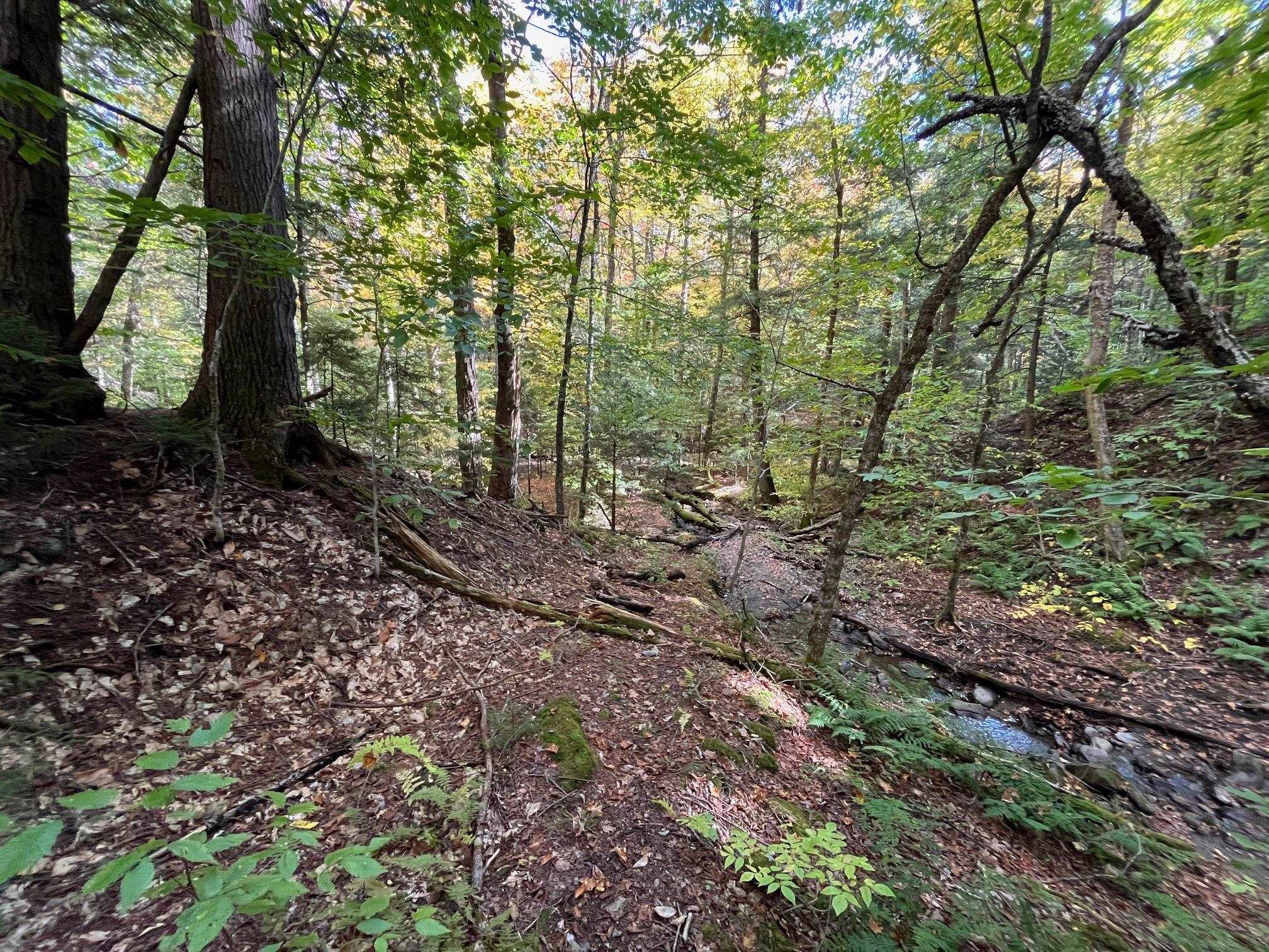 0 German Flats Road, Unit 3 Waitsfield, VT 05673 - Photo 6 of 15 Gallery Image 6