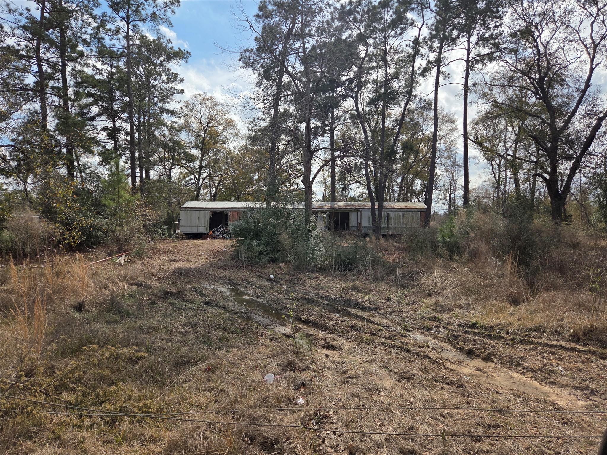 14848 Old Houston Road Conroe, TX 77302 - Photo 6 of 7 a view of a outdoor space