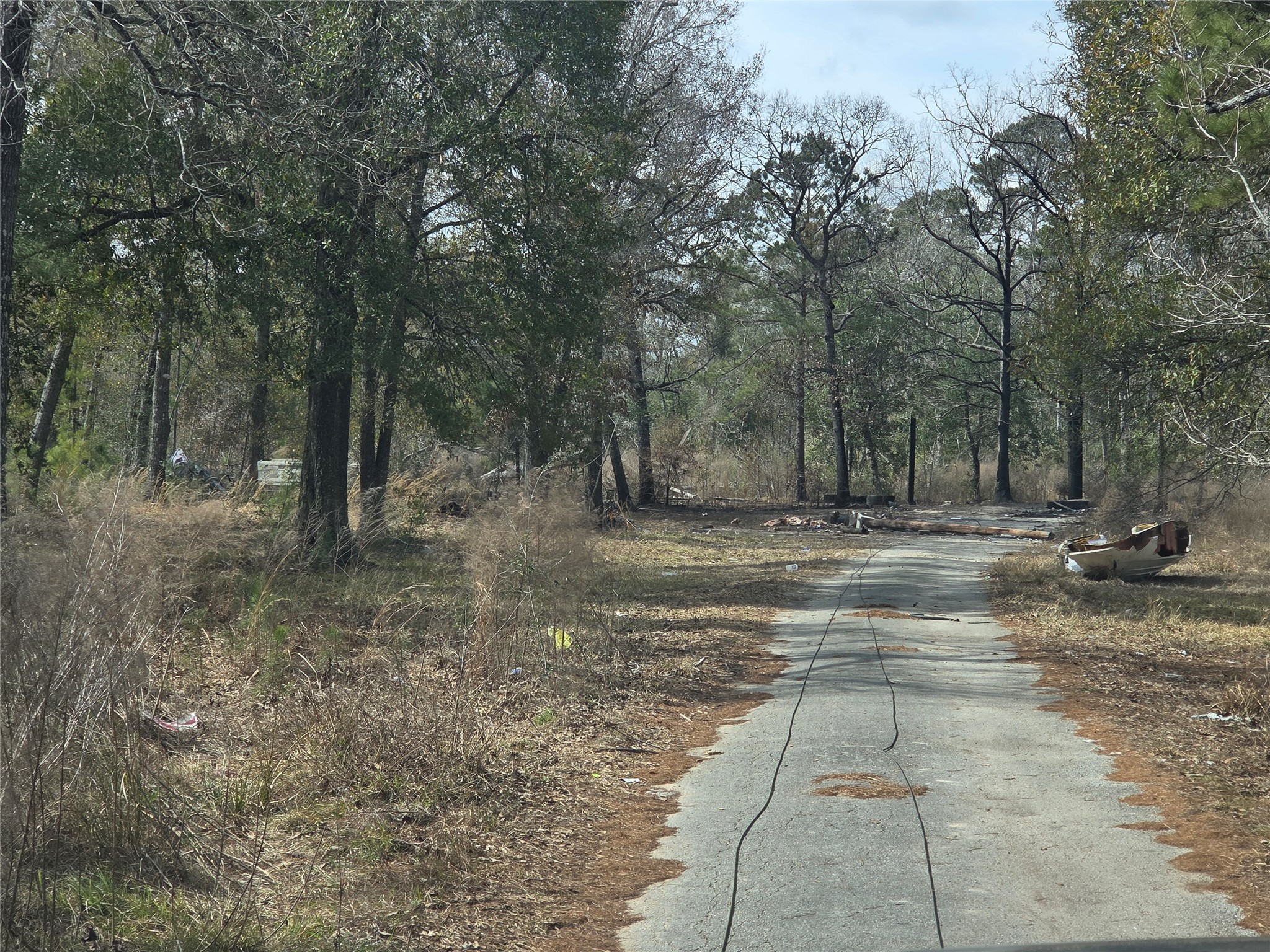 14848 Old Houston Road Conroe, TX 77302 - Photo 7 of 7 a backyard of a house with lots of green space