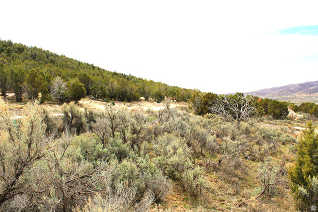 North W, Unit 93 Fairview, UT 84629 - Photo 14 of 23