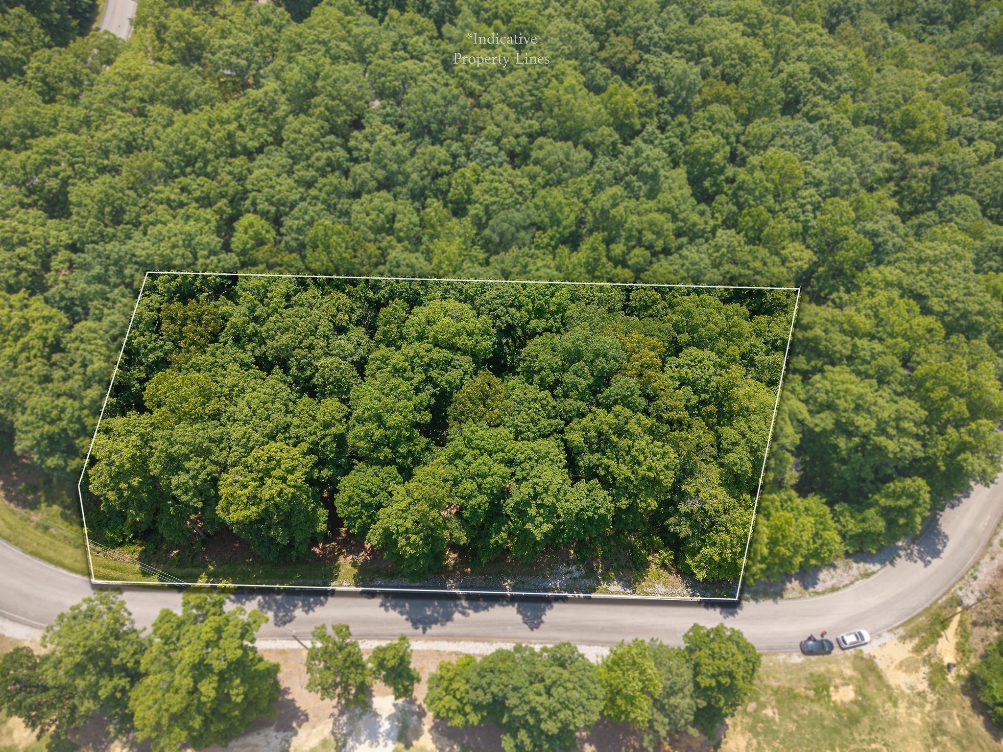 0 Coves Pointe Road Sparta, TN 38583 - Photo 3 of 13