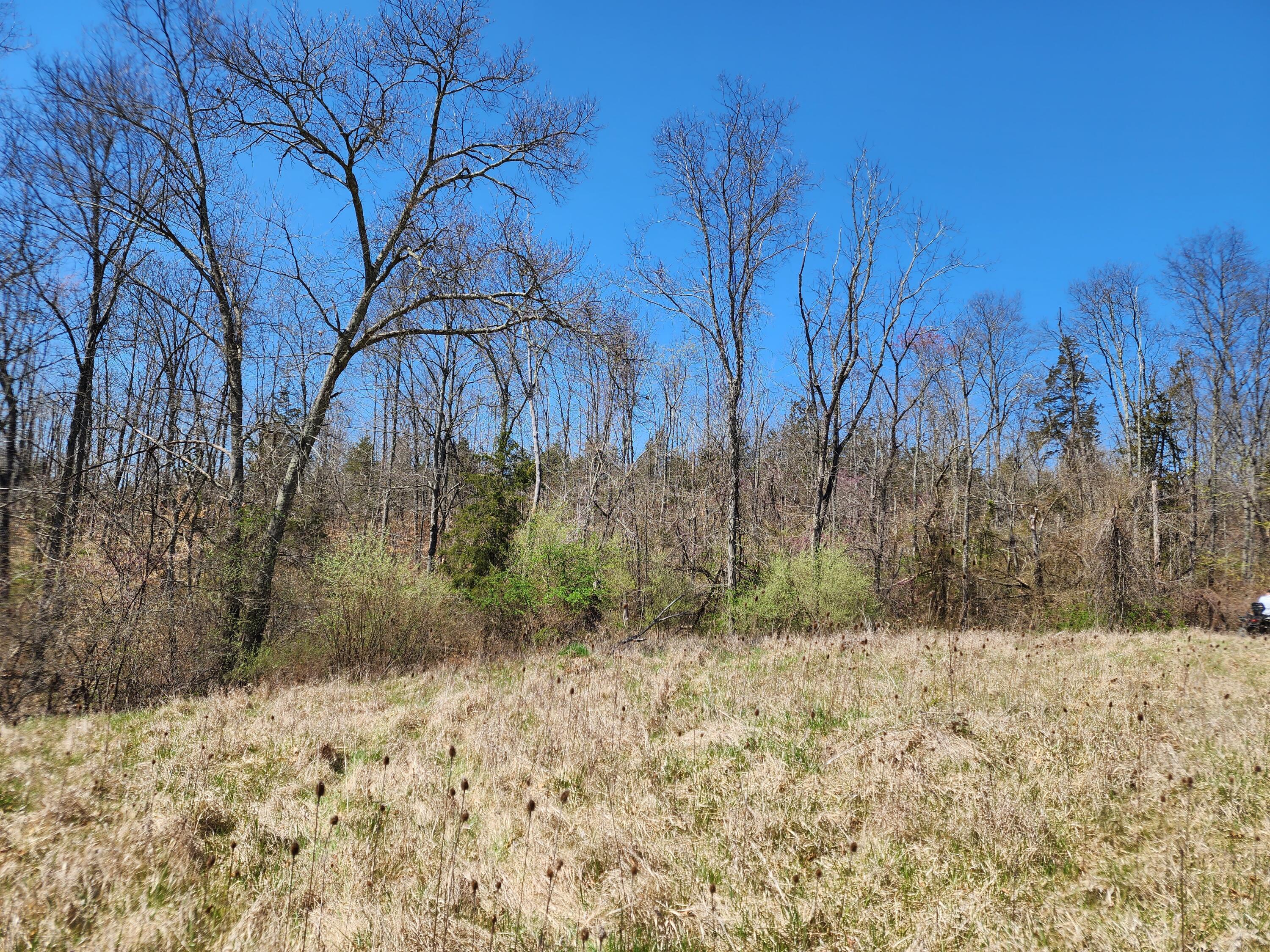 0 Halleys Ridge Road Caldwell, OH 43724 - Photo 18 of 69 20230411_131859