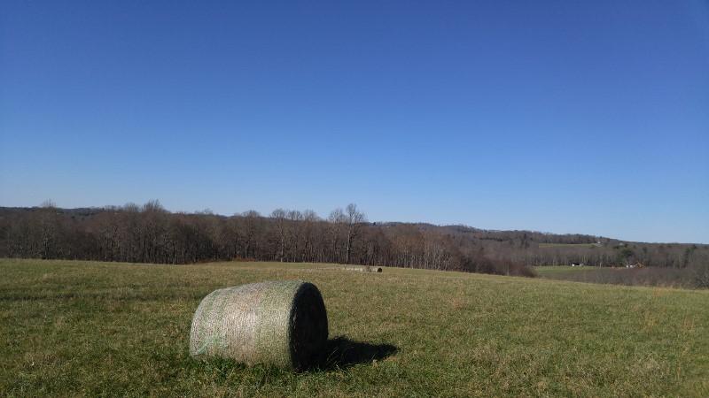 1970 Moore Road Northeast Floyd, VA 24091 - Photo 27 of 49 1123151325a (800x450)