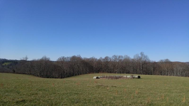 1970 Moore Road Northeast Floyd, VA 24091 - Photo 28 of 49 1123151326 (800x450)