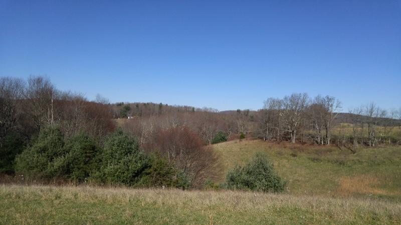 1970 Moore Road Northeast Floyd, VA 24091 - Photo 30 of 49 1123151328 (800x450)
