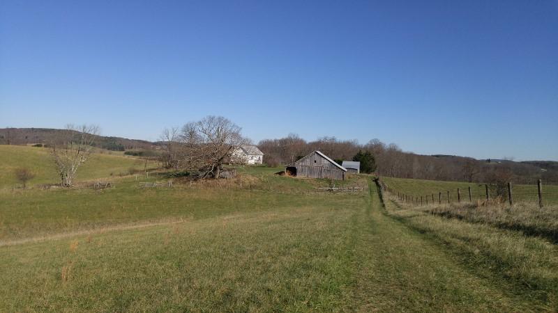 1970 Moore Road Northeast Floyd, VA 24091 - Photo 31 of 49 1123151329 (800x450)