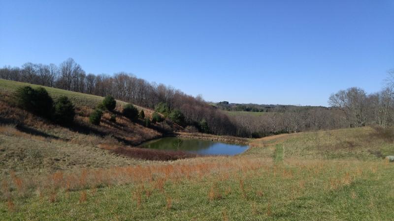 1970 Moore Road Northeast Floyd, VA 24091 - Photo 32 of 49 1123151330 (800x450)