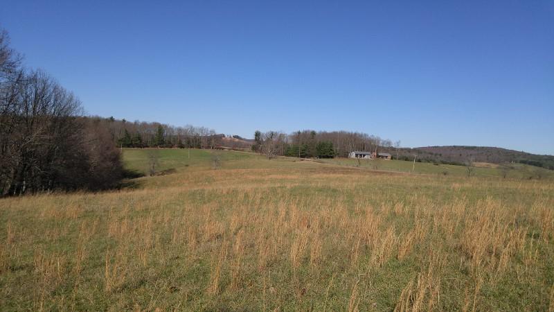 1970 Moore Road Northeast Floyd, VA 24091 - Photo 33 of 49 1123151331 (800x450)