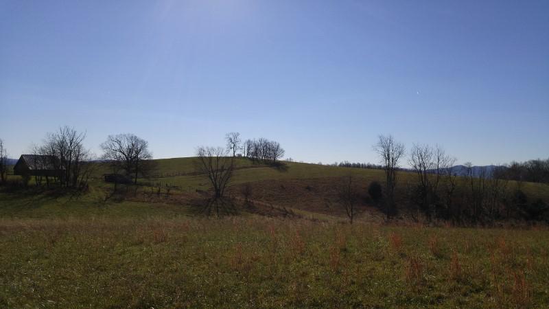 1970 Moore Road Northeast Floyd, VA 24091 - Photo 34 of 49 1123151332 (800x450)