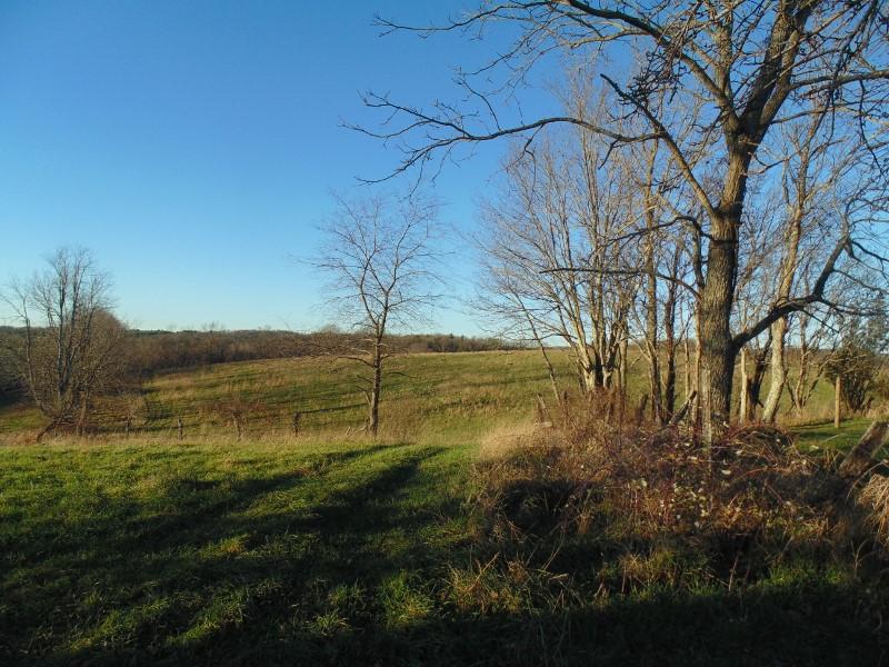 1970 Moore Road Northeast Floyd, VA 24091 - Photo 39 of 49 DSC01607 (800x600)