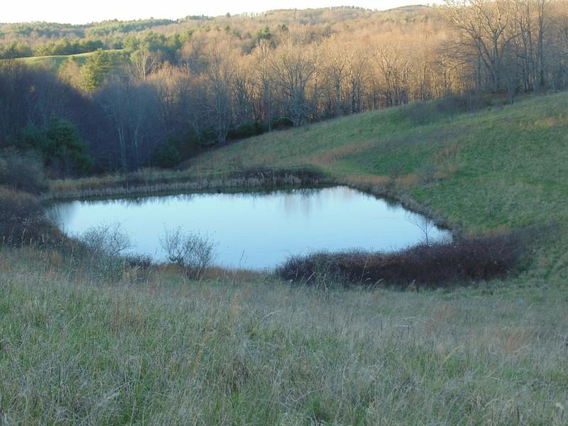 1970 Moore Road Northeast Floyd, VA 24091 - Photo 42 of 49 DSC01615 (800x600)