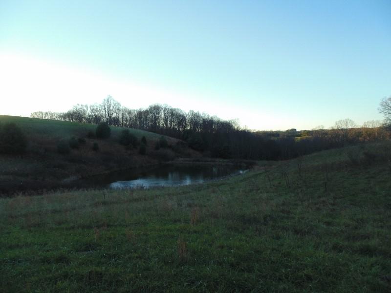 1970 Moore Road Northeast Floyd, VA 24091 - Photo 48 of 49 DSC01630 (800x600)