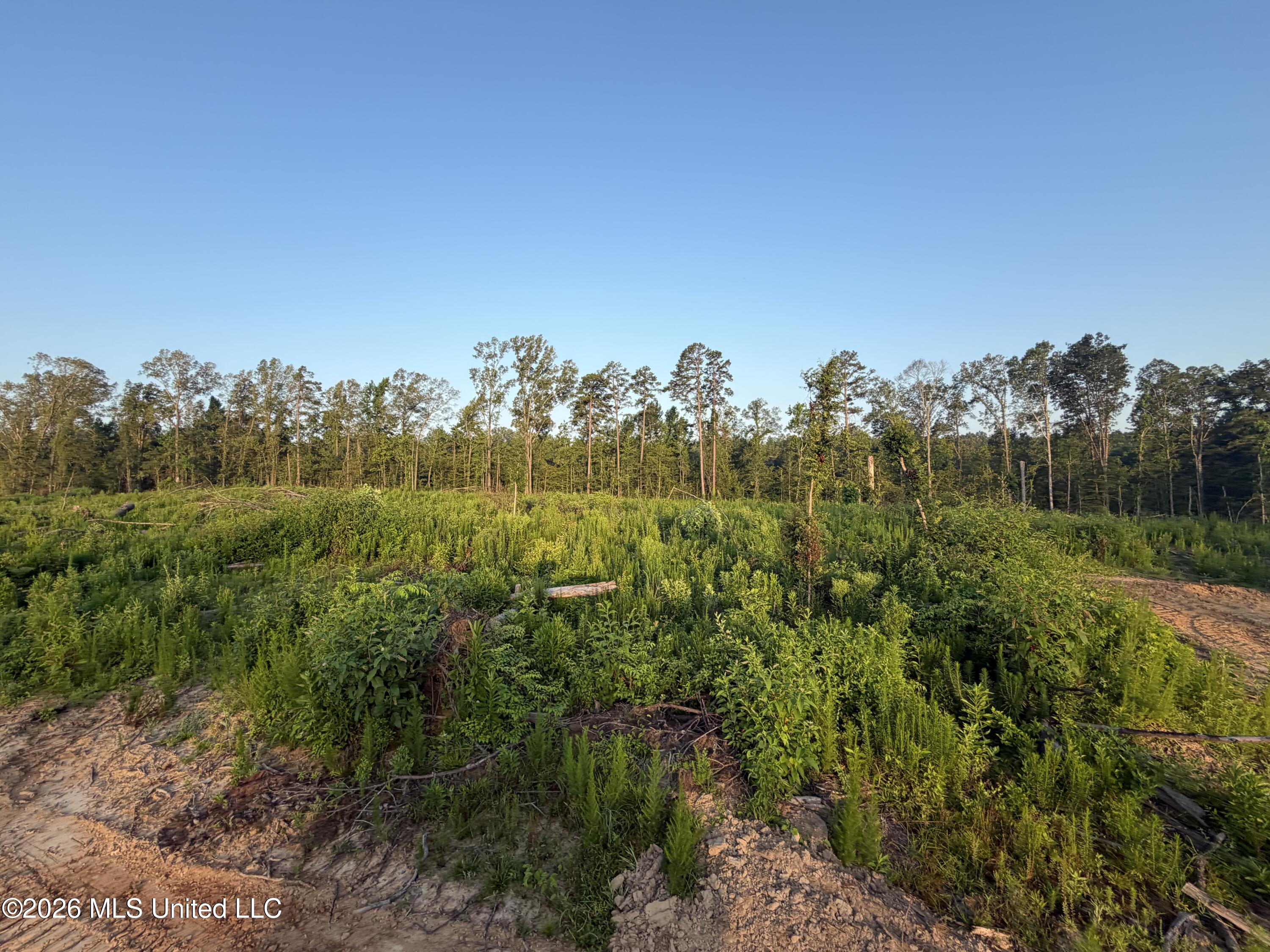 Carroll Rd Port Port Gibson, MS 39150 - Photo 13 of 24 Photo Jul 01 2026, 6 45 14 AM