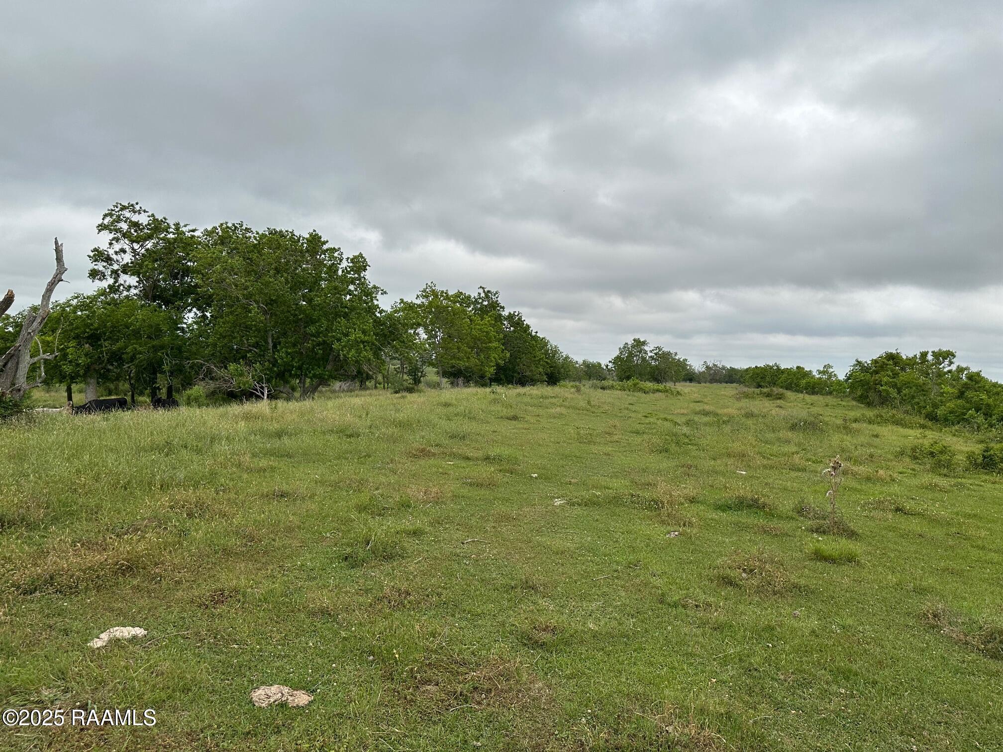 0 Boyance Road Erath, LA 70533 - Photo 10 of 18 IMG_2597