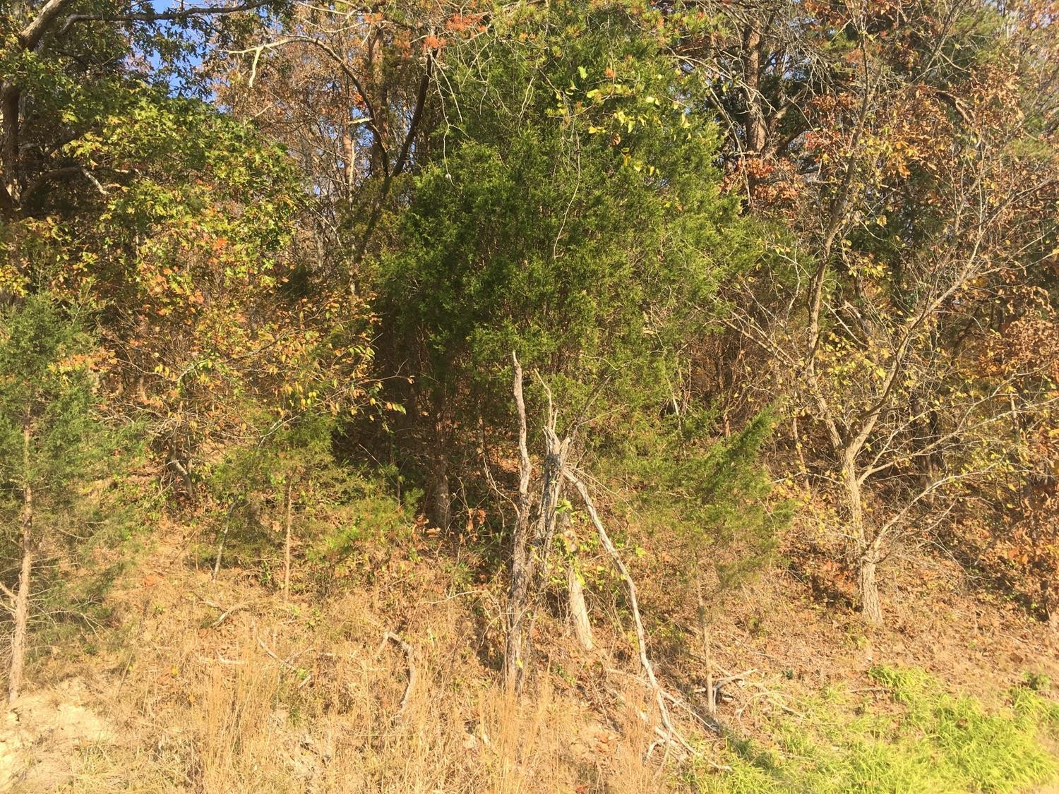 1133 Cane Creek Road Stanton, KY 40380 - Photo 21 of 22 Photo 21