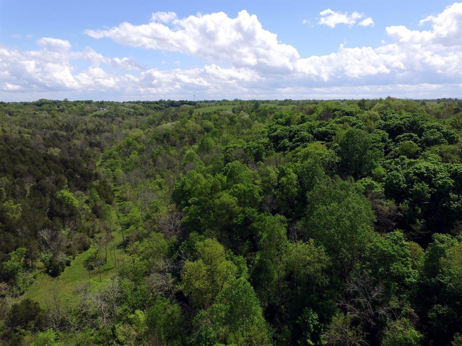 99999 Maple Grove Road Richmond, KY 40475 - Photo 15 of 21 Bring your ATV and side by side and ride