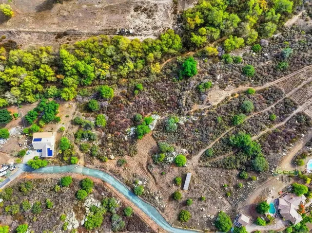 a picture of flowers