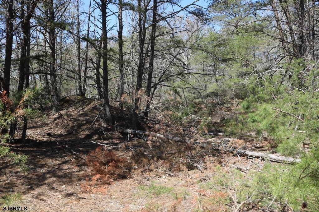 351 Shaws Mill Road Newport, NJ 08345 - Photo 8 of 84