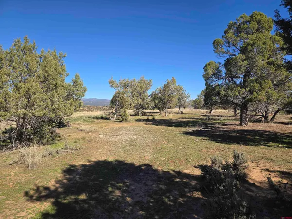 $699,000 | 100-110 Wrangler Way, Durango, CO 81303