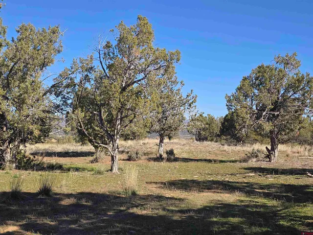a view of ocean view with trees