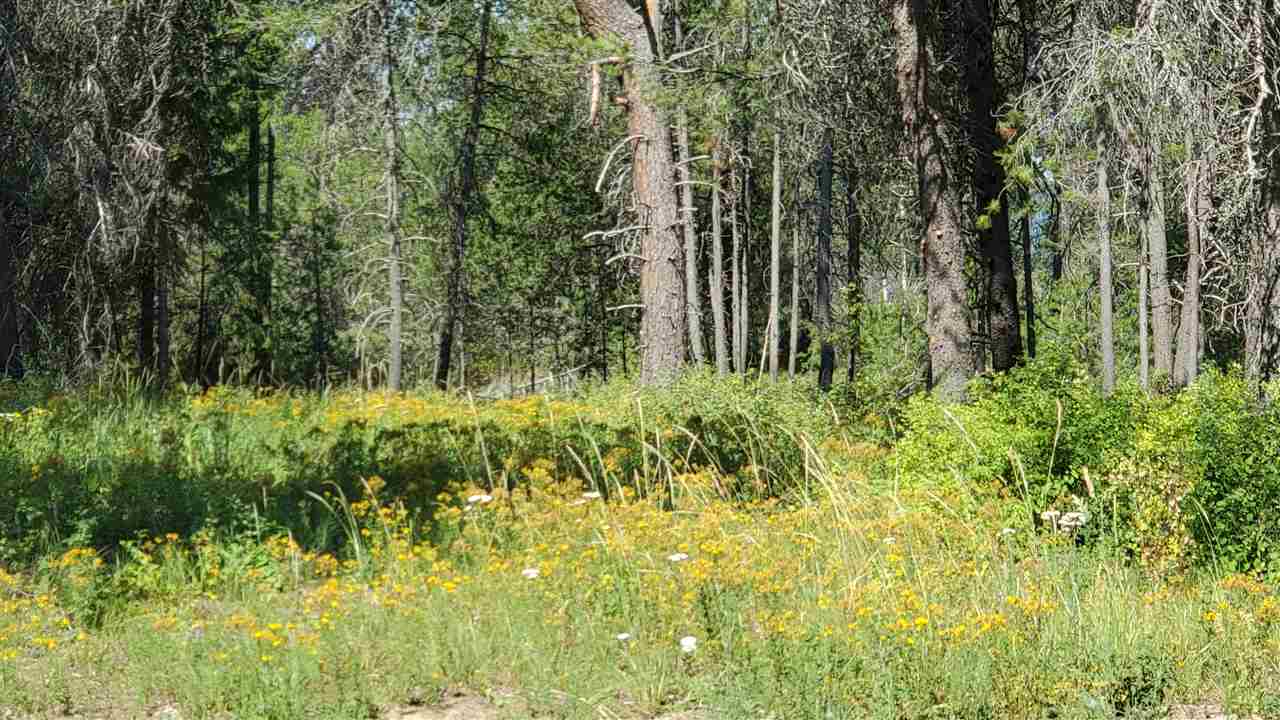 36514 North Sheldon Road Deer Park, WA 99006 - Photo 21 of 23 Gallery Image 21