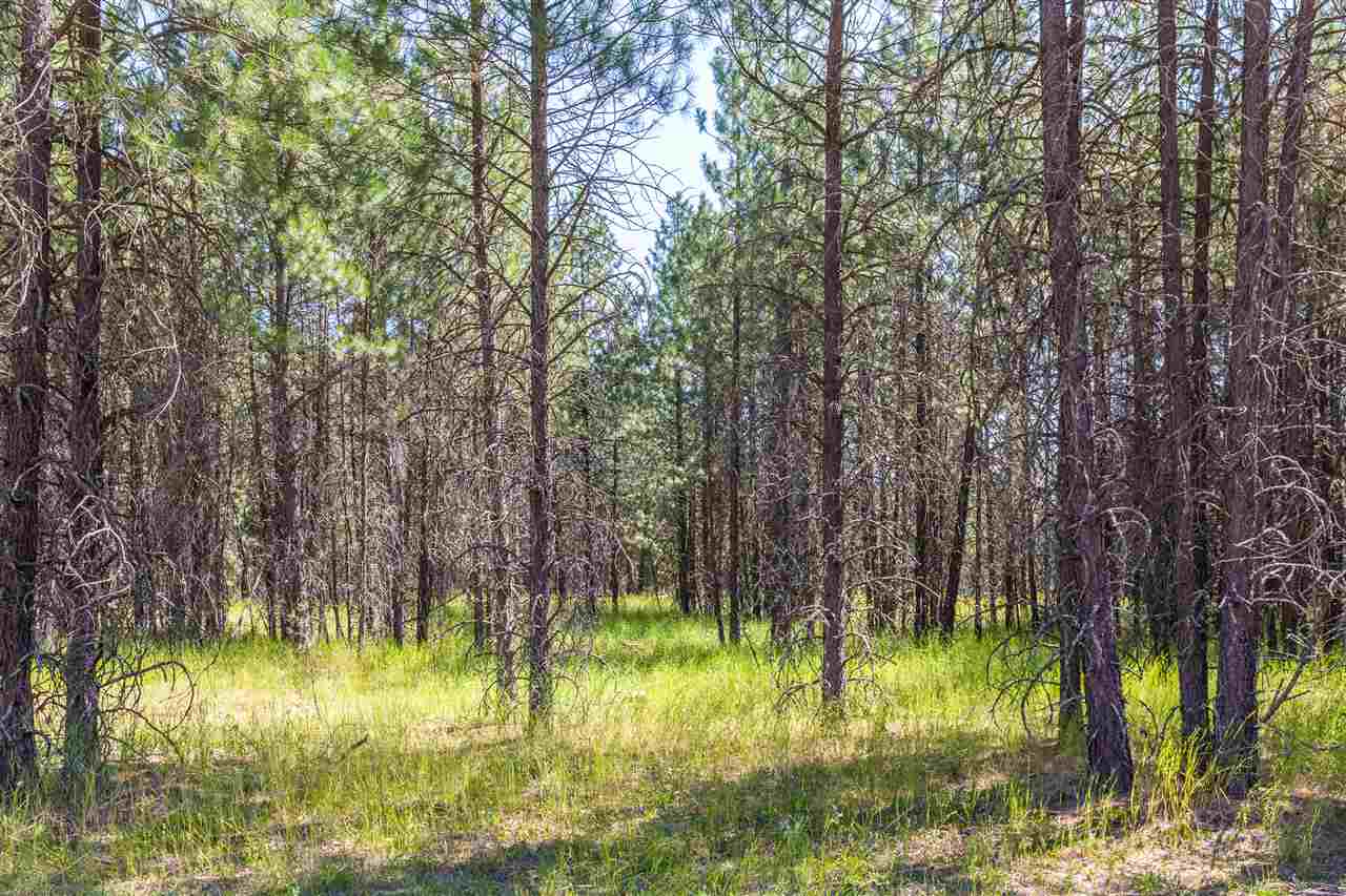 36514 North Sheldon Road Deer Park, WA 99006 - Photo 23 of 23 Gallery Image 23