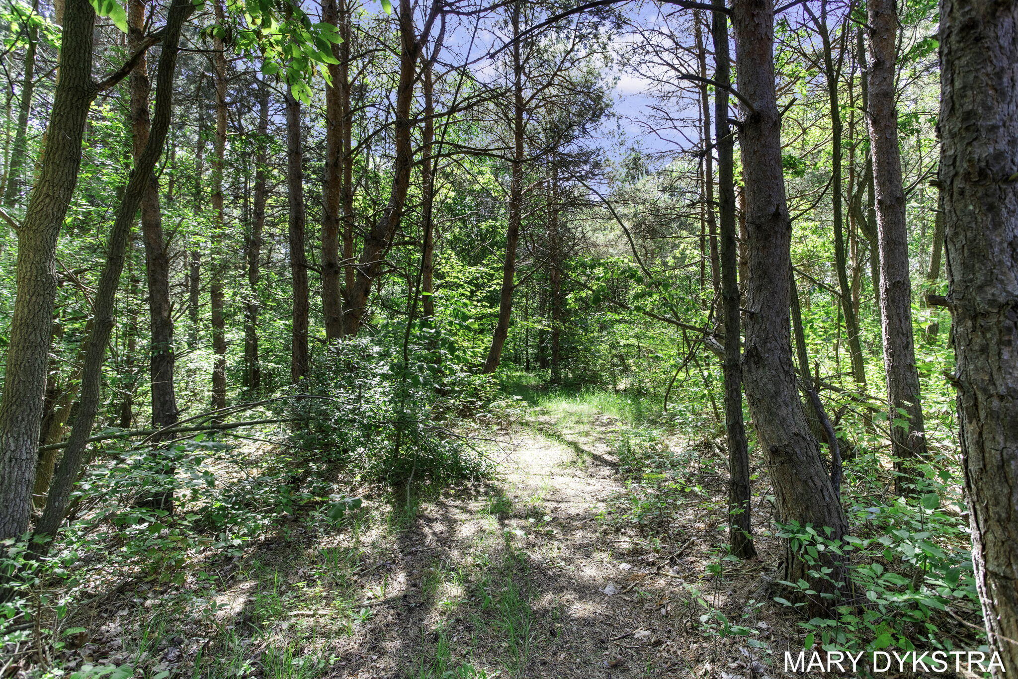 4251 Beeline Road Holland, MI 49423 - Photo 70 of 80 1-web-or-mls-4251-beeline-rd