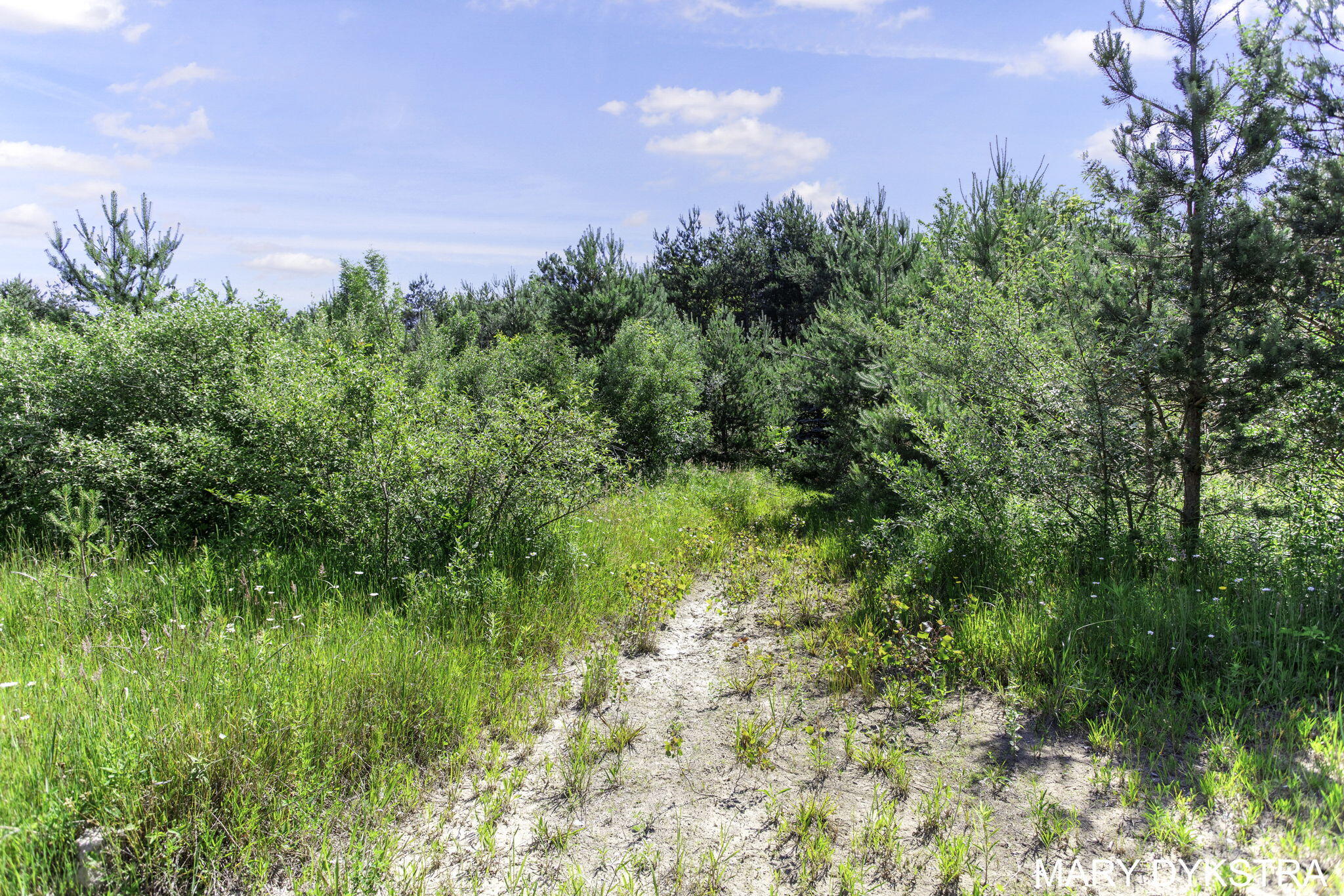 4251 Beeline Road Holland, MI 49423 - Photo 71 of 80 2-web-or-mls-4251-beeline-rd