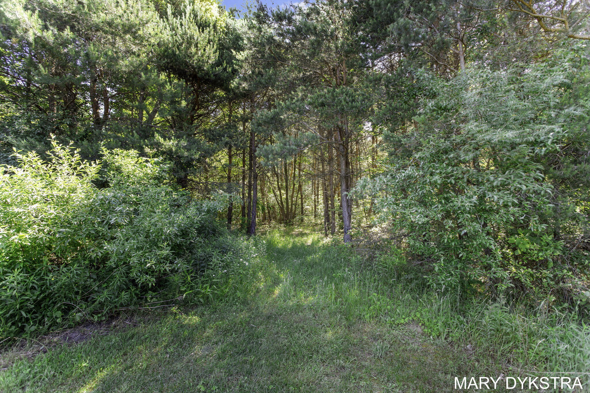 4251 Beeline Road Holland, MI 49423 - Photo 72 of 80 83-web-or-mls-4251-beeline-rd