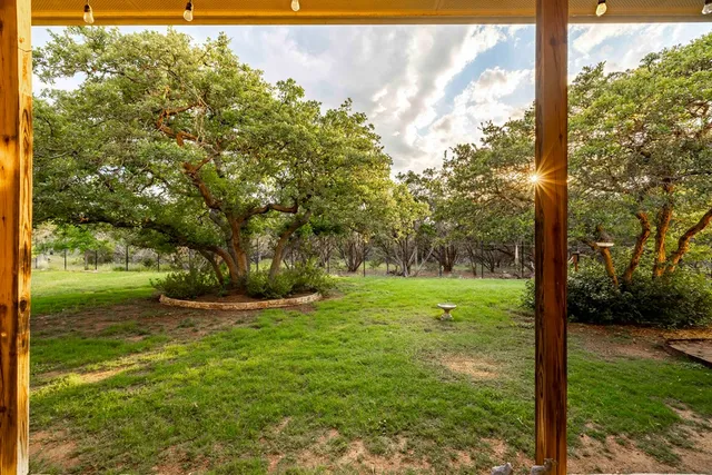 a view of a trees with yard