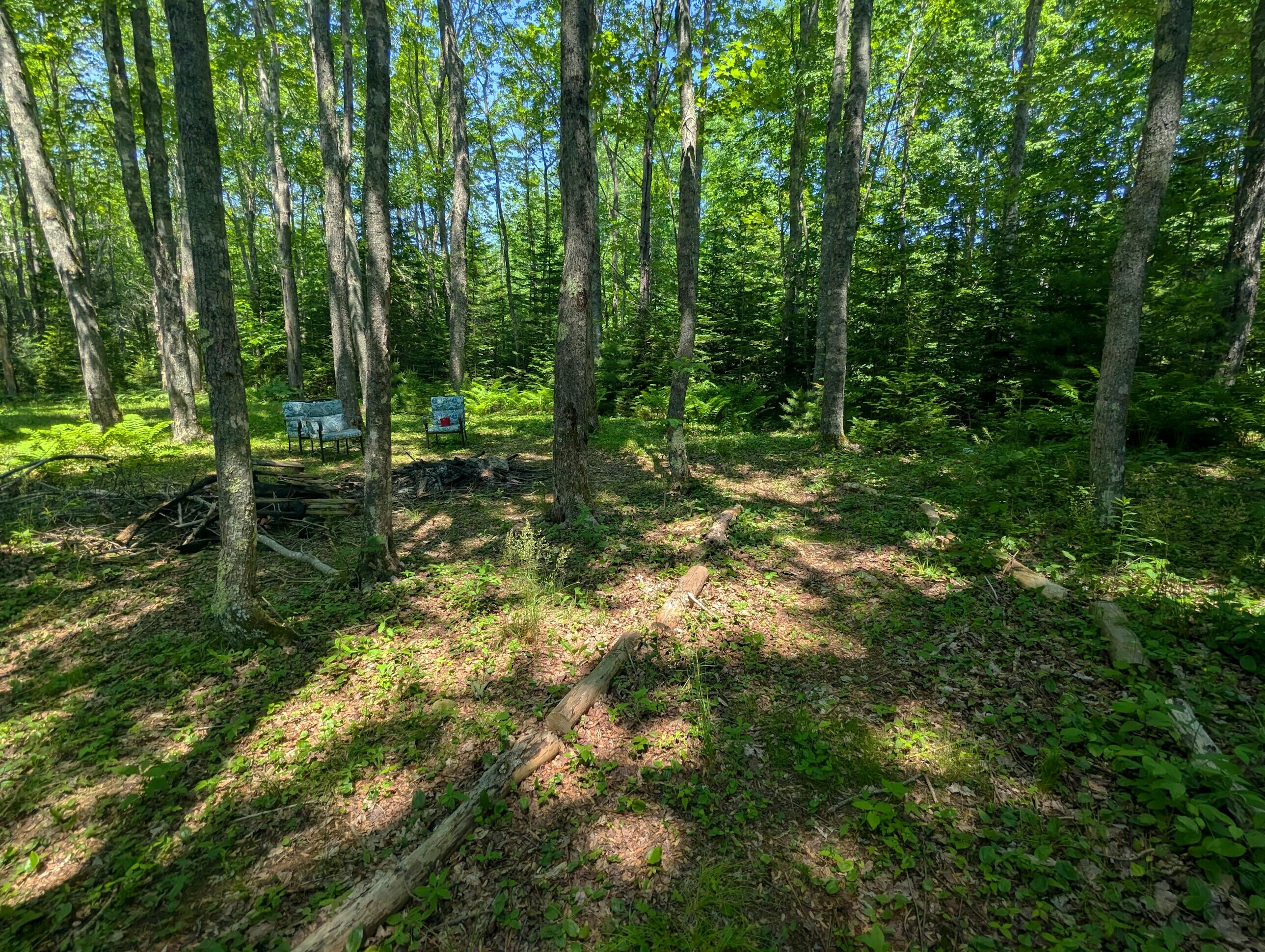 8 Red Fern Road Trenton, ME 04605 - Photo 25 of 70 2024-06-20_10.04.24
