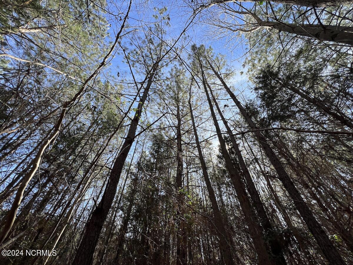 657 Collins Mill Road Castalia, NC 27816 - Photo 108 of 148 IMG_3486