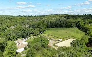 a view of a green yard