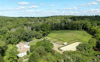 a view of a green yard