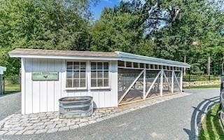 60 Washington Street, Unit 60 Sherborn, MA 01770 - Photo 14 of 15 a view of a house with backyard and porch
