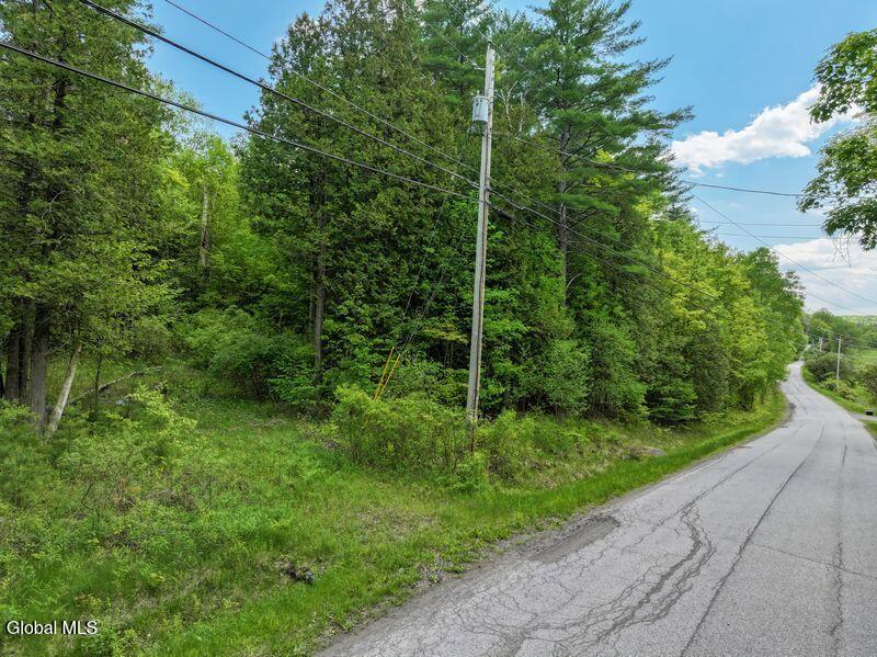 L2 Liddle Harris Road Putnam Station, NY 12861 - Photo 2 of 12 Street Scene, View West