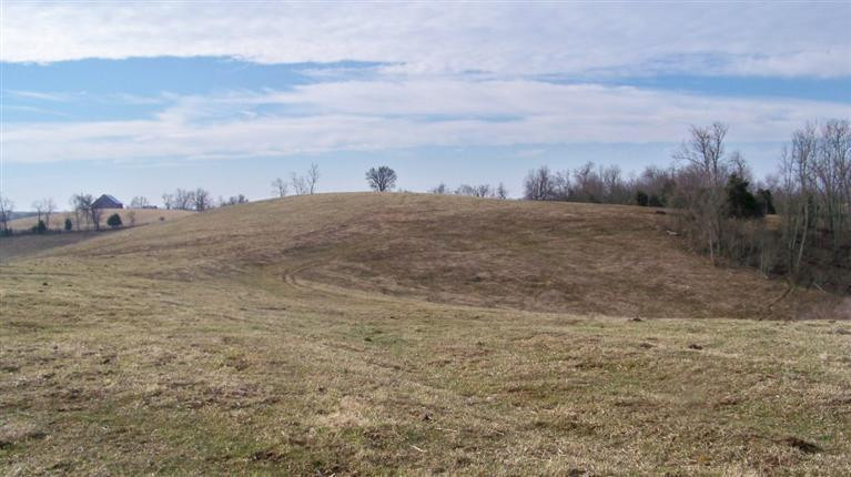 2555 Mt Pleasant Road Owingsville, KY 40360 - Photo 1 of 6 Photo 1
