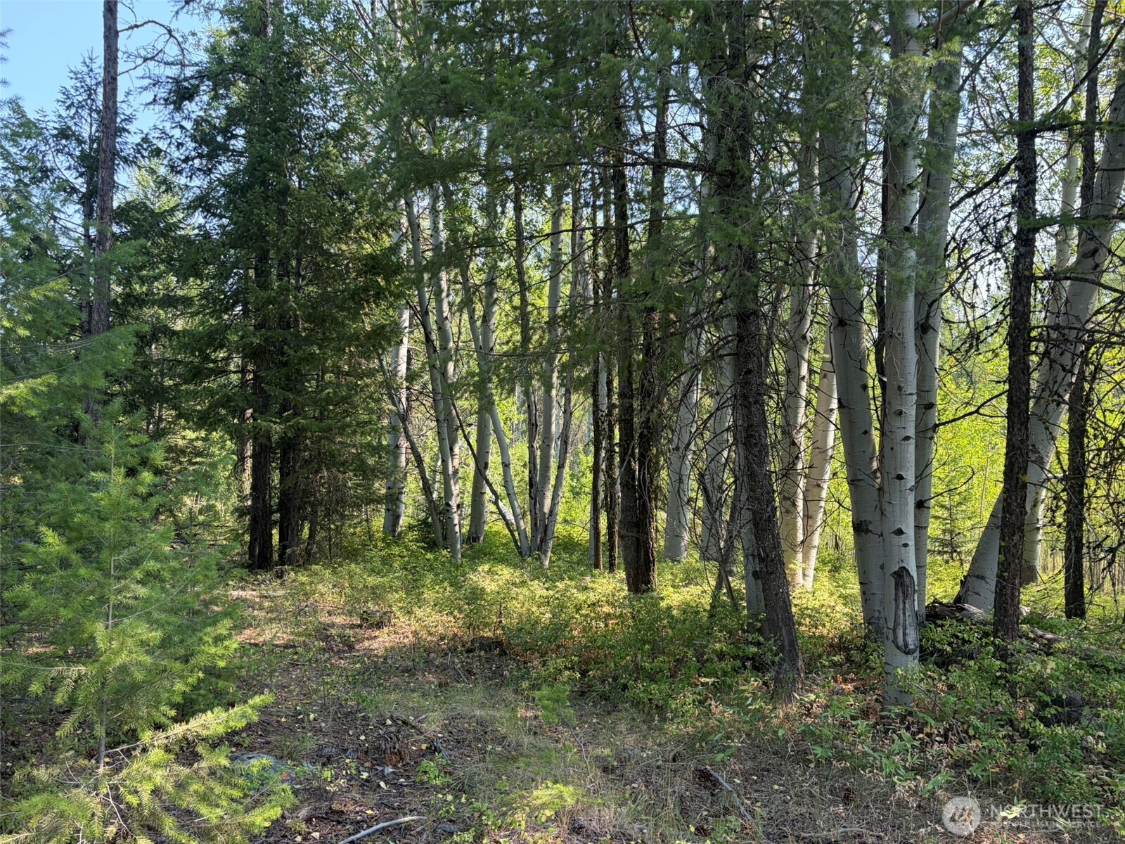 111-tbd Summer Road Tonasket, WA 98855 - Photo 22 of 28 Gallery Image 22