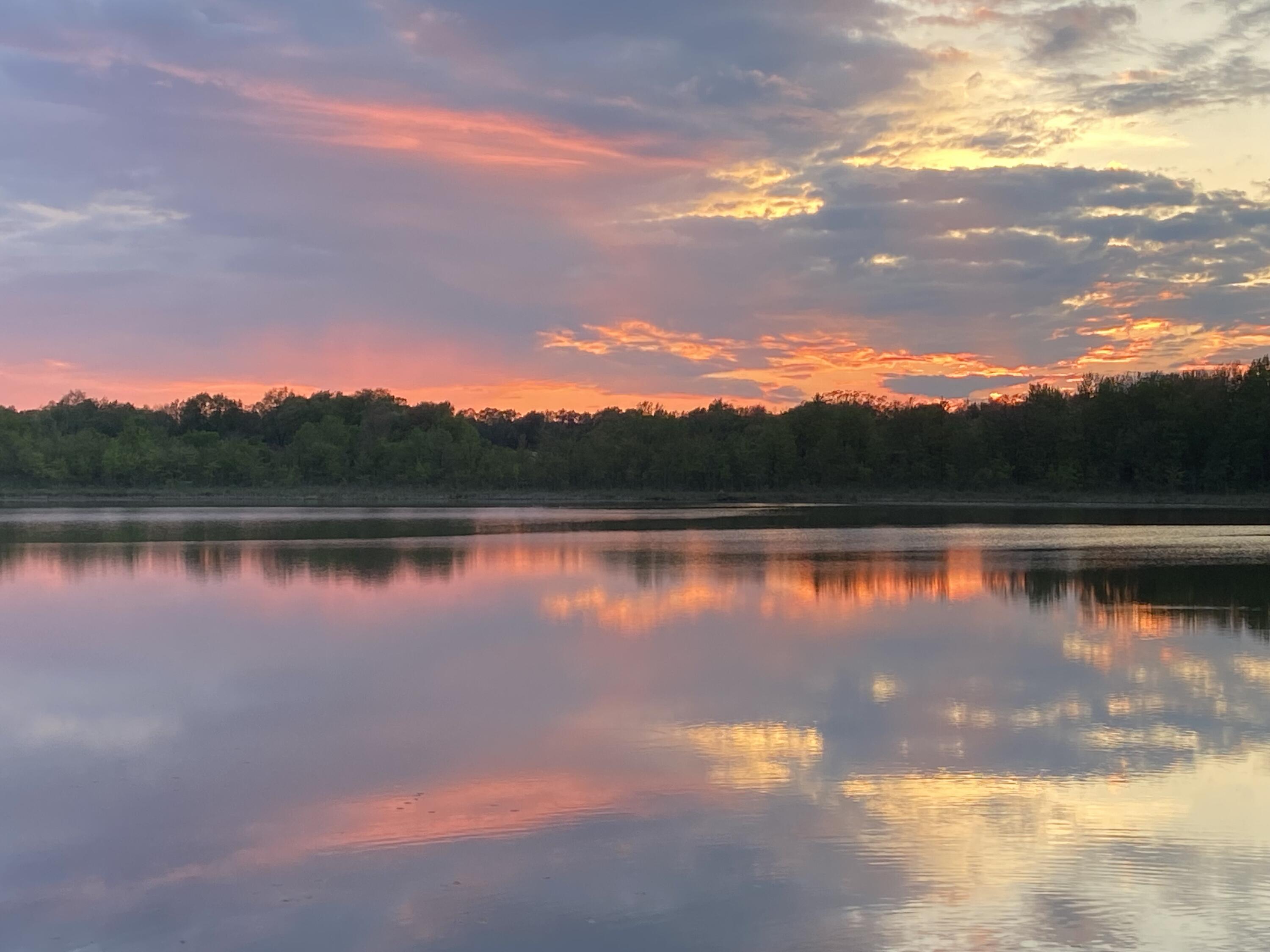 5201 12 1/2 Mile Road Burlington, MI 49029 - Photo 28 of 36 IMG_8561