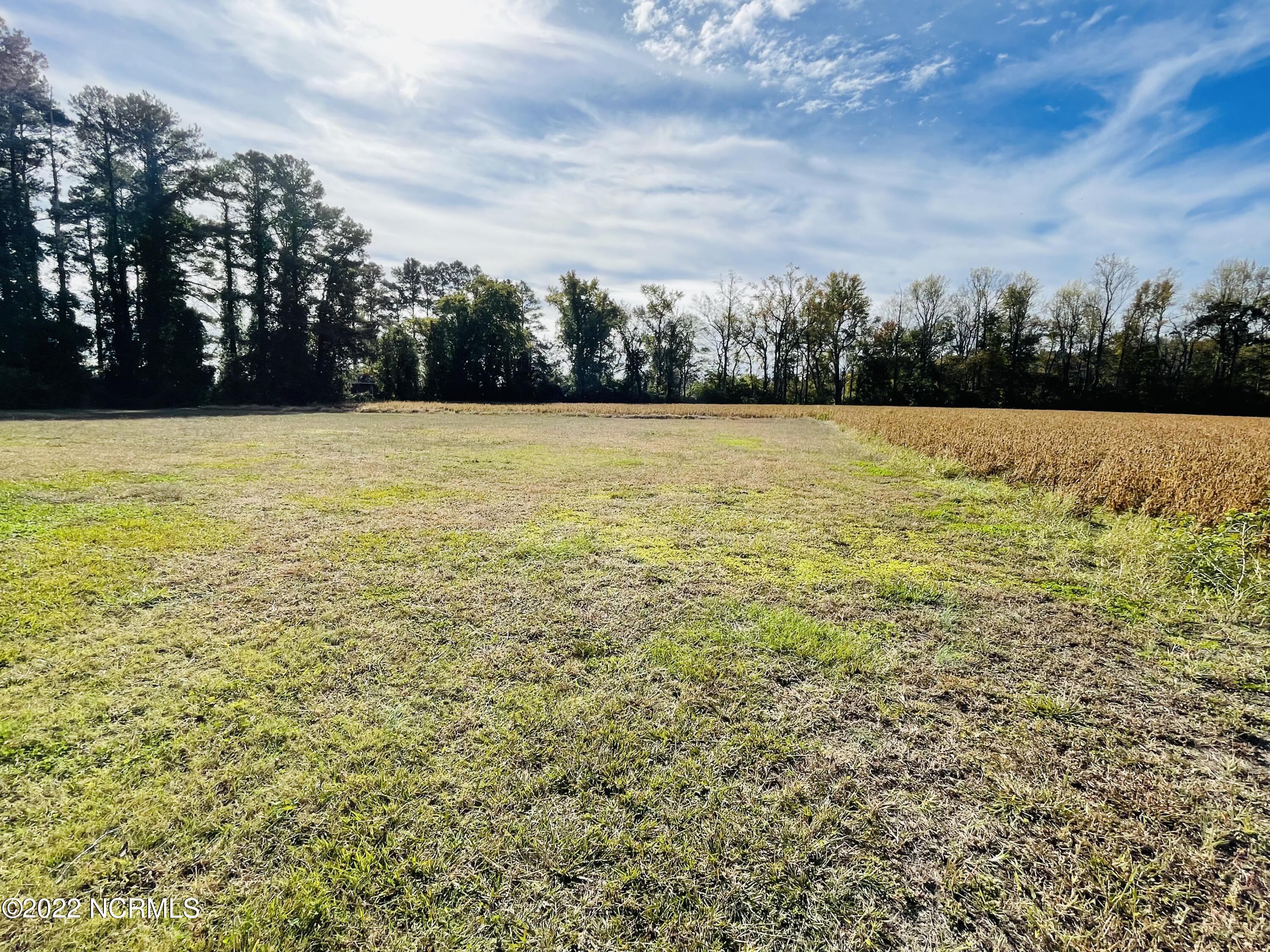 9725 Cherry Run Road Washington, NC 27889 - Photo 8 of 31 D072B68E-7974-41F0-A6AB-EBF1FABD6319