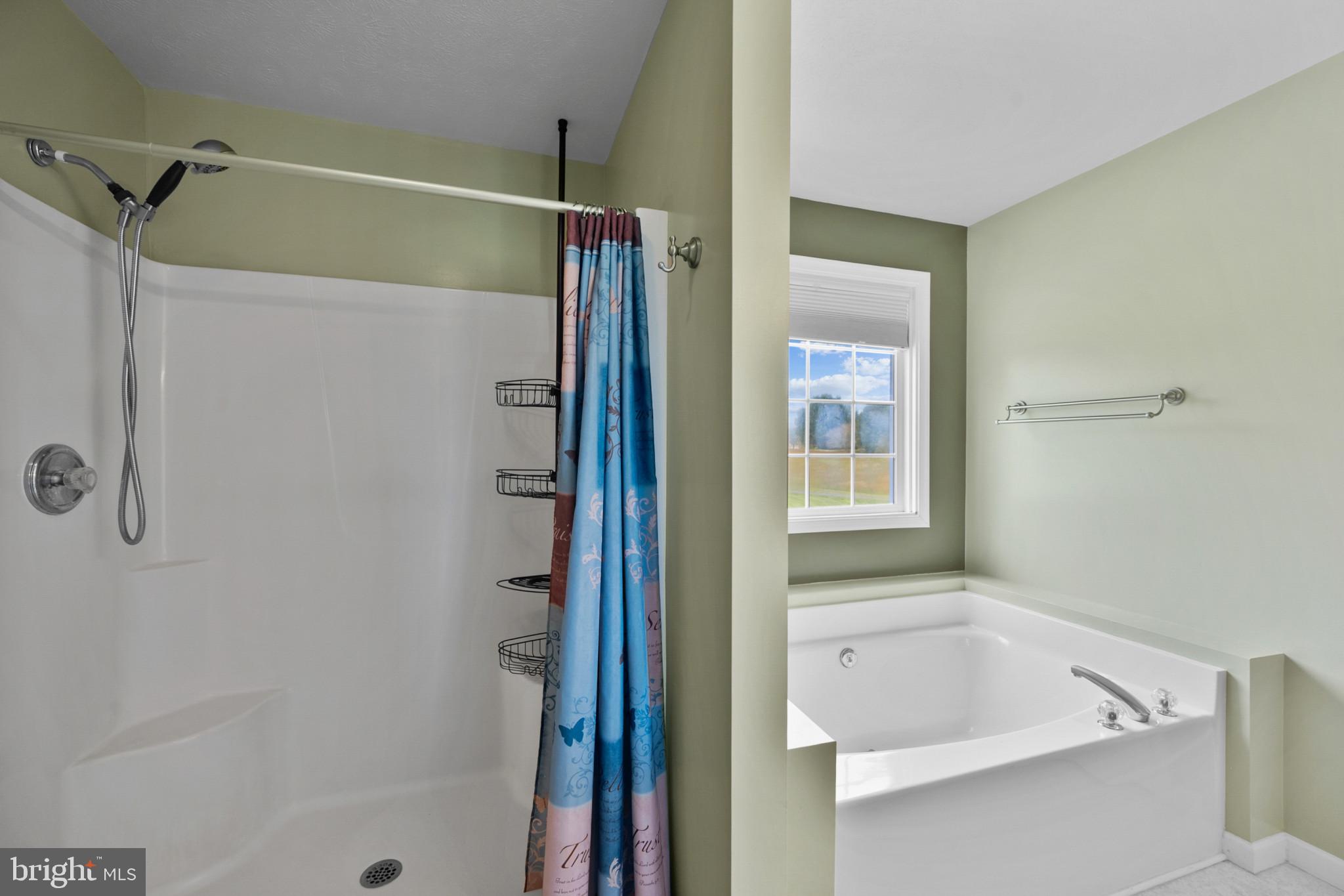 16410 Hudson Mill Road Culpeper, VA 22701 - Photo 17 of 35 Owners suite - bathroom - upper level