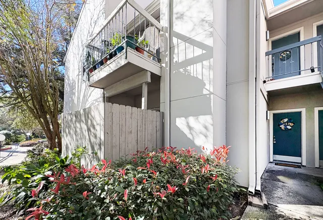 a flower plants in front of a house