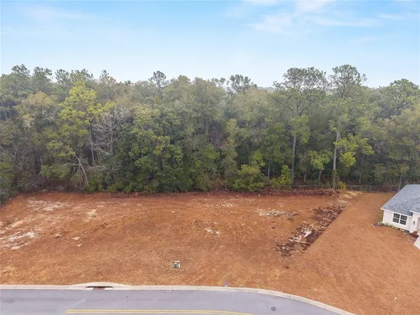 $29,000 | Tbd Northeast 58th Street, Silver Springs, FL 34488