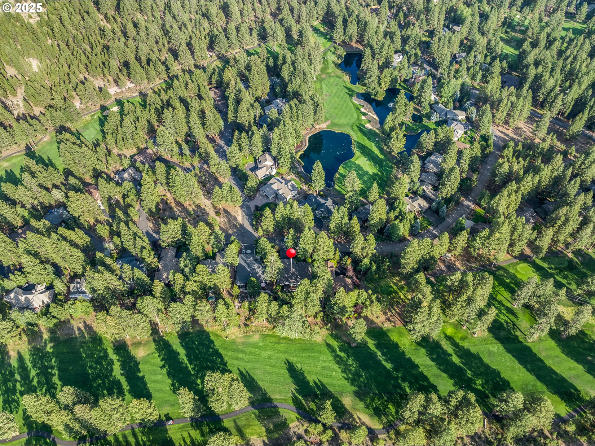 60799 Currant Way Bend, OR 97702 - Photo 3 of 28 a view of a plant
