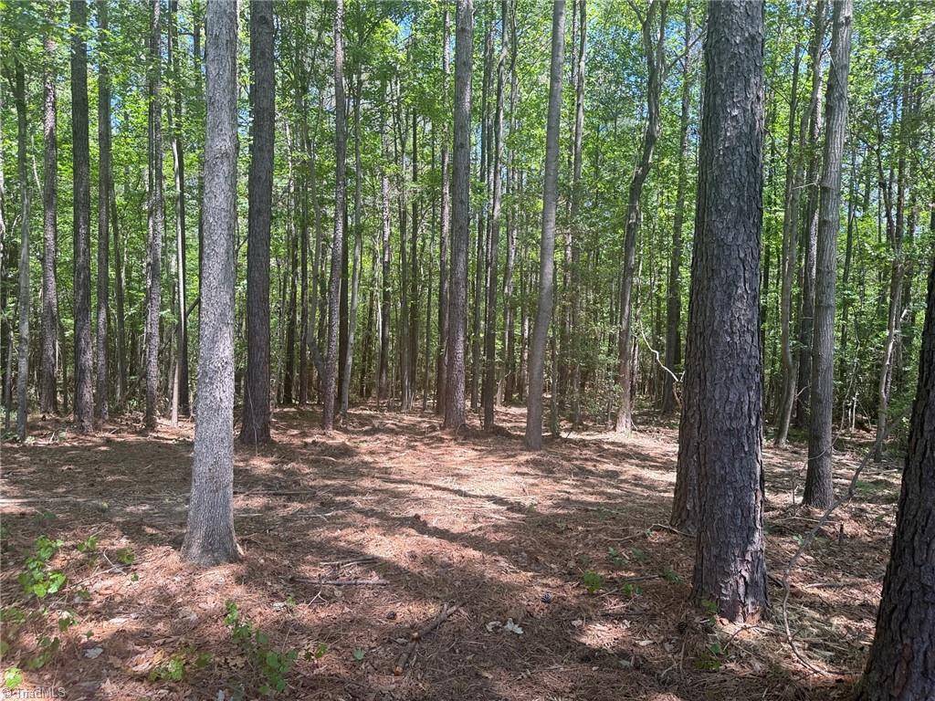 Lot 15 Willie Road Seagrove, NC 27341 - Photo 2 of 5