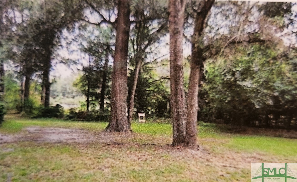 0 Barnsley Road Port Wentworth, GA 31407 - Photo 1 of 1 Gallery Image 1