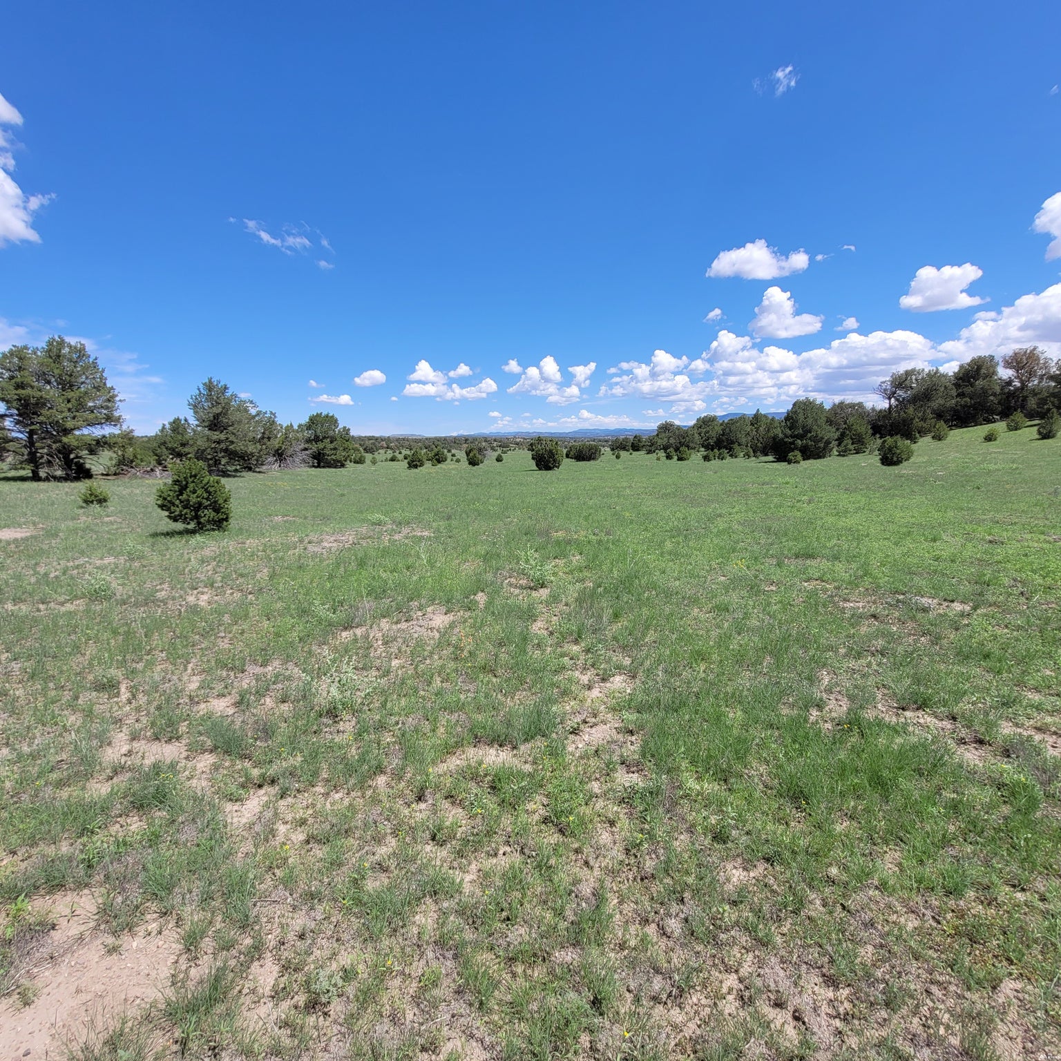 1 Frontier Trail, Unit 17 18 Datil, NM 87821 - Photo 13 of 30 Gallery Image 13