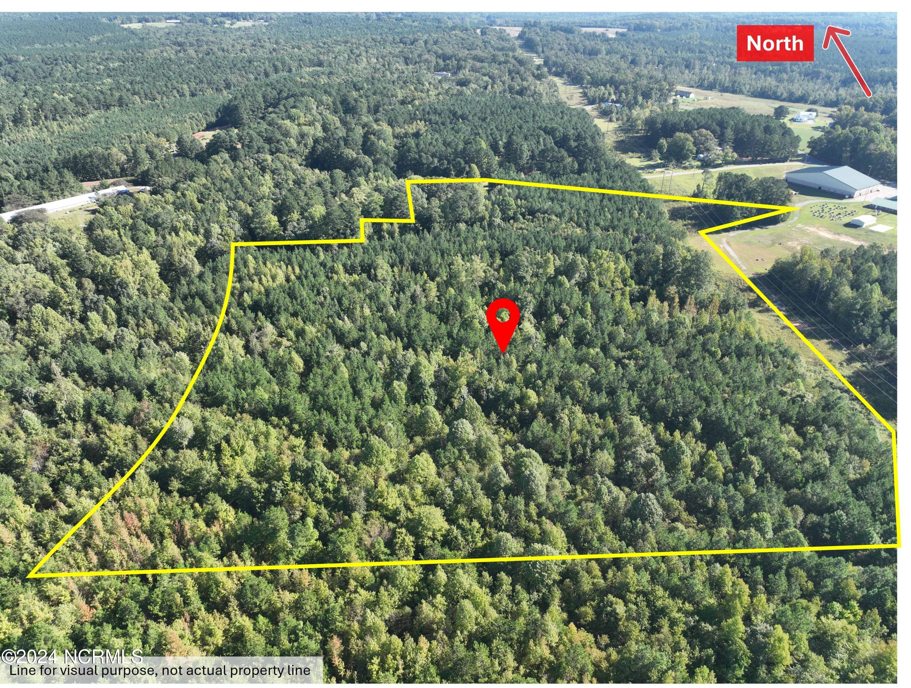 185 Deese Road Carthage, NC 28327 - Photo 1 of 12 Picture5