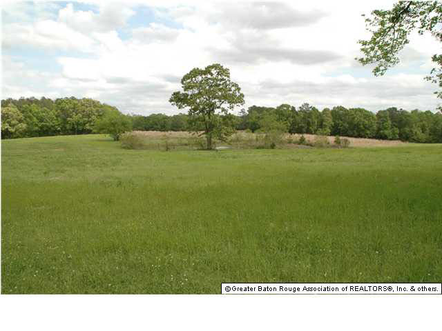 B-6 Upper C C Road Clinton, LA 70722 - Photo 1 of 1 Gallery Image 1